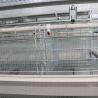 Buy cheap Adjusting Automatic Battery Cage System , Enriched Wire Steel Cage For Chicken from wholesalers