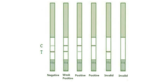 Erythromycin Rapid Milk Test Kit 96 Tests/Kit For Milk 3 To 5 Ug/Kg