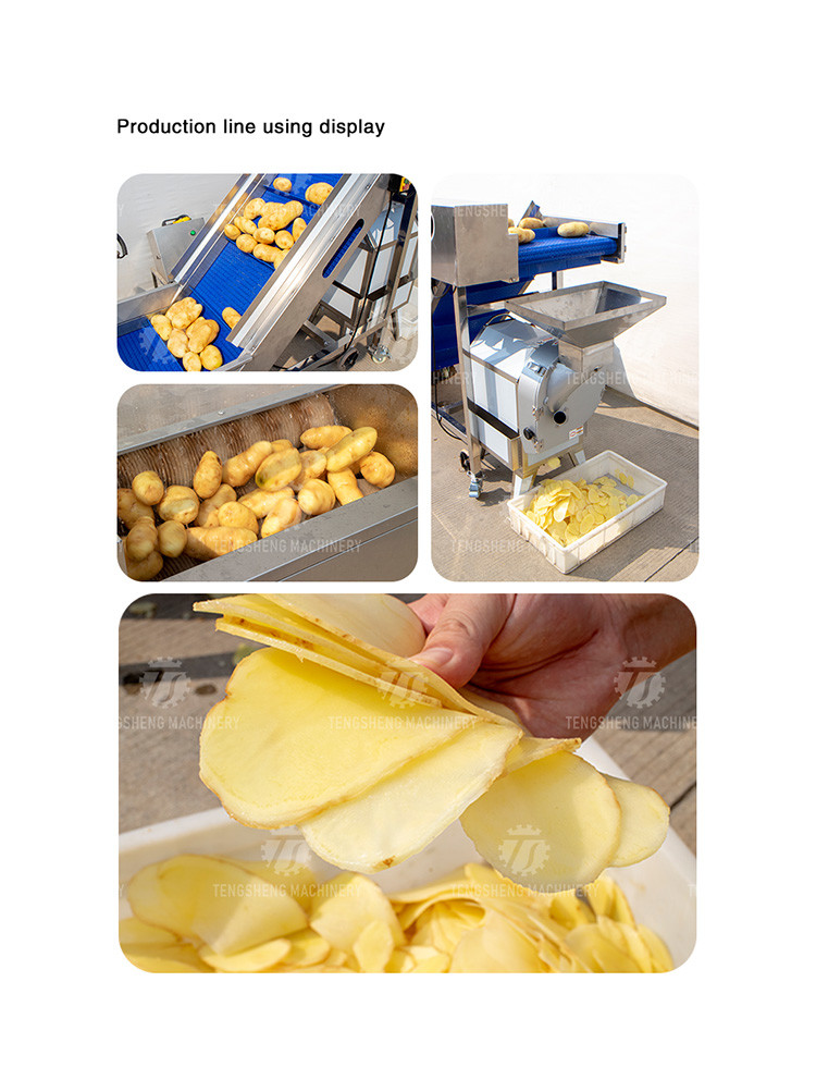 0.75KW 0.8 Tons / Hours Vegetable And Fruit Washing Machine