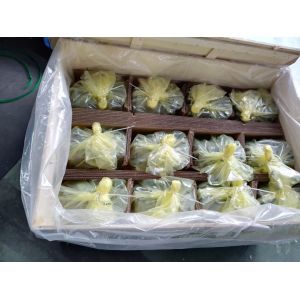 China Rexroth A10VSO71 Hydraulic Pump 280 Bar Cast Iron Gear Pump on sale