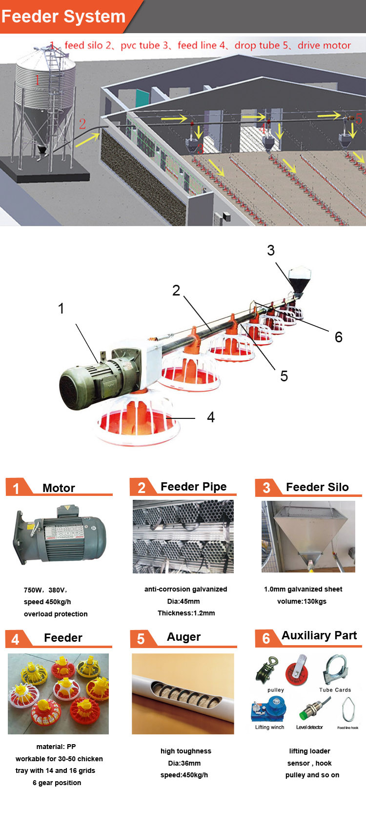 Poultry Farm 750W 45mm Automatic Pan Feeding System