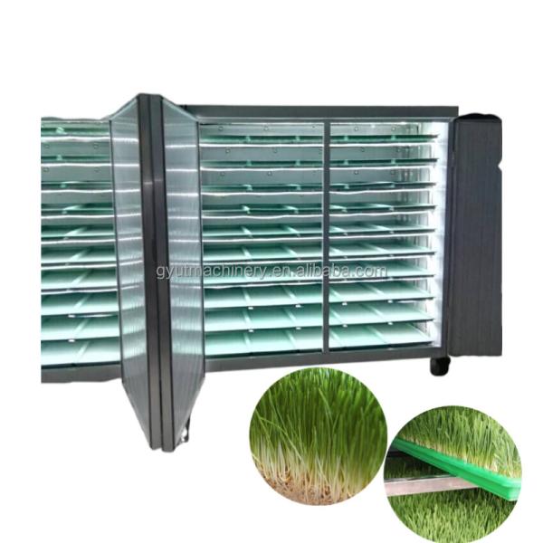 Hydroponic Hulless Barley Sprout Machines 3-4 Days Production Cycle 1.5 Tons
