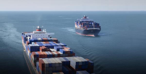 Reliable Door To Door DDP Sea Freight Shipping From China To USA Amazon FBA By