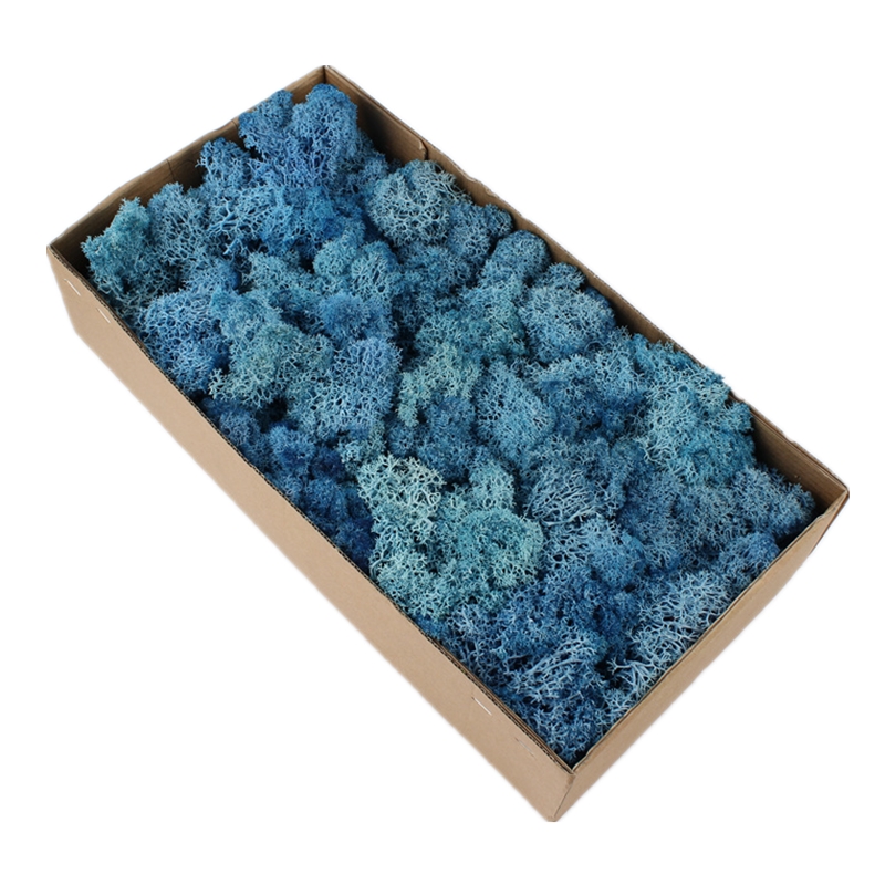 Eco Friendly Preserved Natural Moss Custom Color For House Wall Decoration