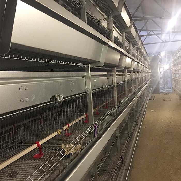 High Temperature Resistant Baby Chick Cage Durable With Nipple Drinker