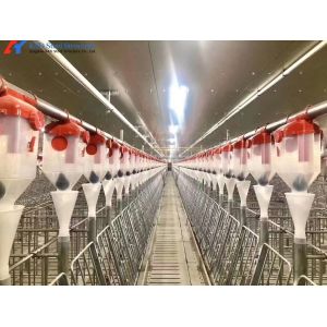 China Piggery Equipment Pig Farming Crate System For Pig Shed Farm on sale