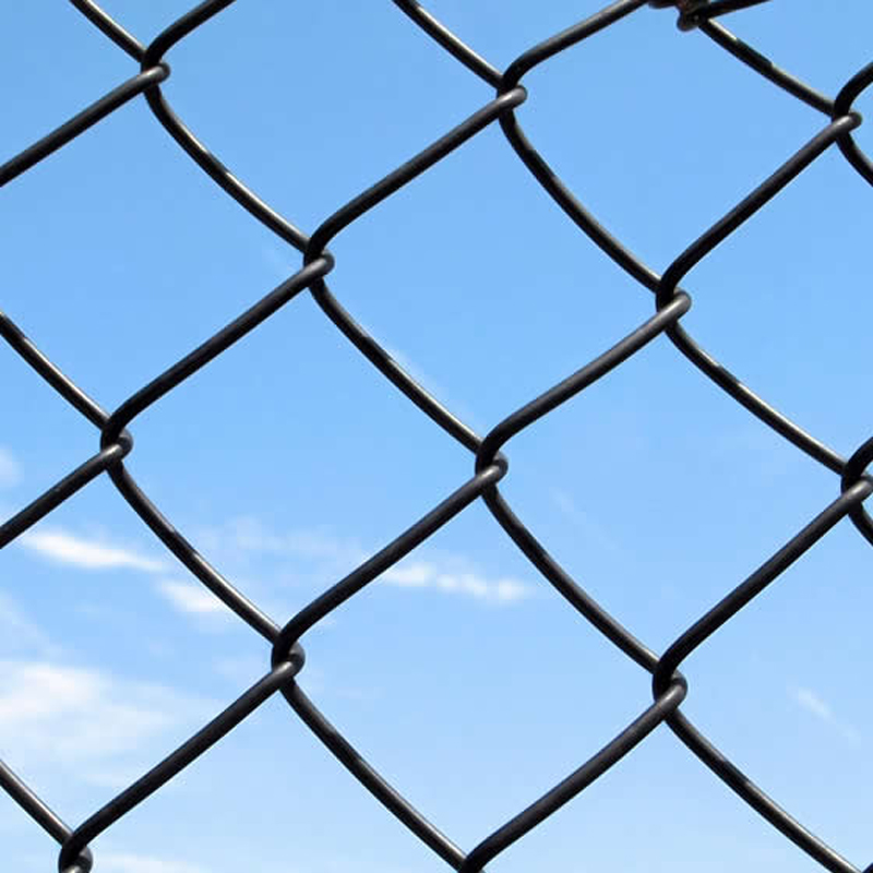 pvc wire mesh plastic coated chain link fence aquaculture purse seine orchard protection net pvc coated chain link fence