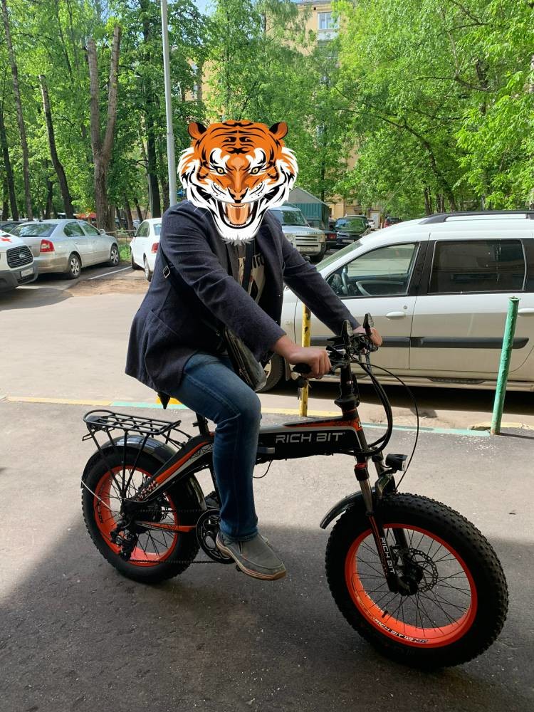Rich Bit Top 016 20 Inch Fat Tire Electric Bike 500w 48v 9.6Ah 20x4 Chaoyang Tire