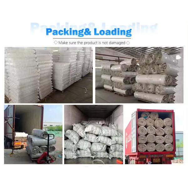 Customized Size 1.8mm Steel Wire Diameter Sofa Pocket Spring For Sofa Furniture 9