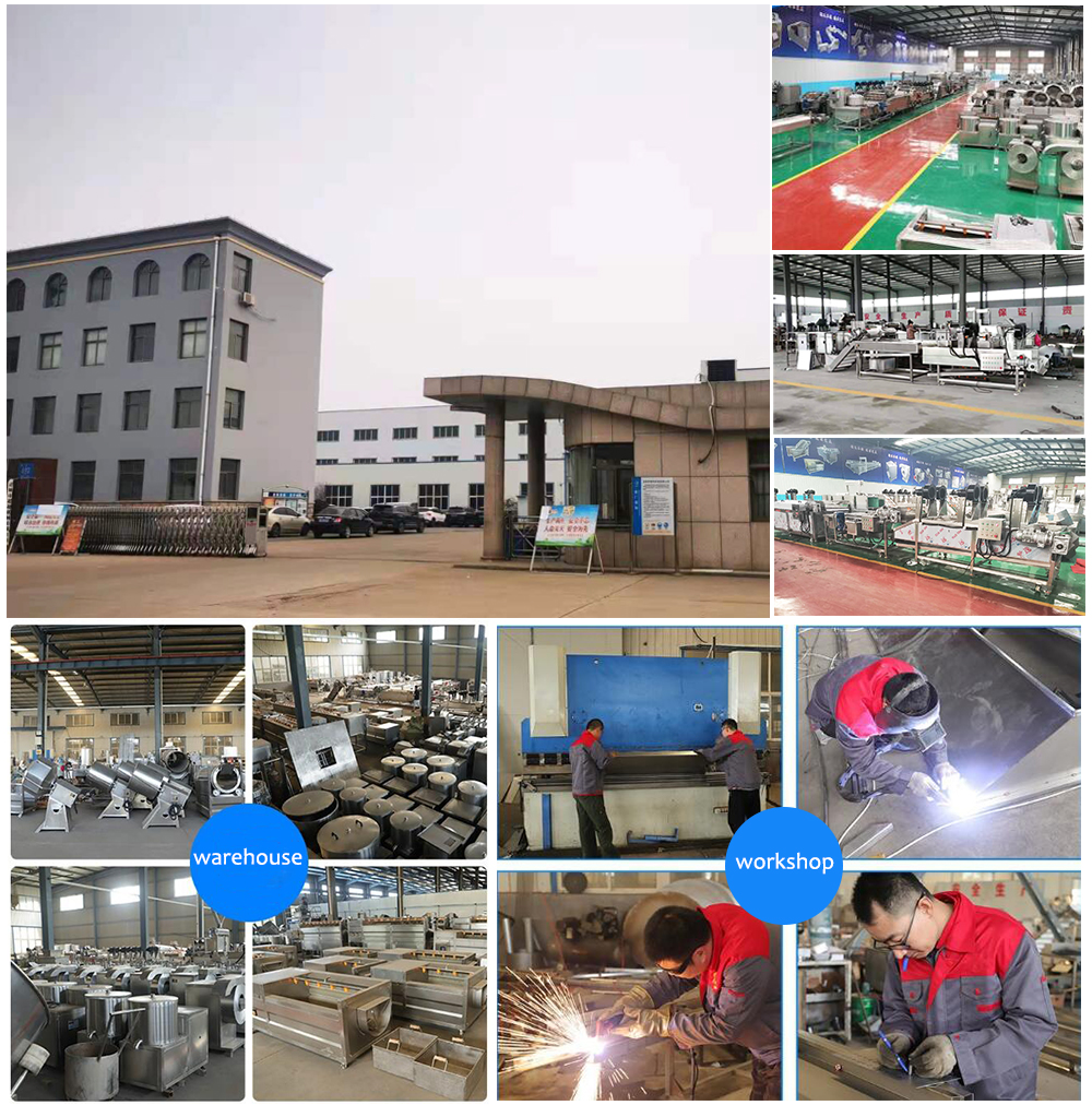 High Return Automatic Food Processing Machine Cocoa / Castor / Baobab Seeds Oil Press Extraction