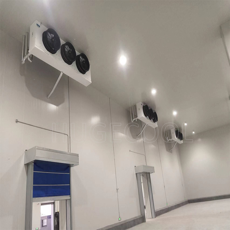 5000t Pomegranate Cooler Storage Cold Storage Cameras
