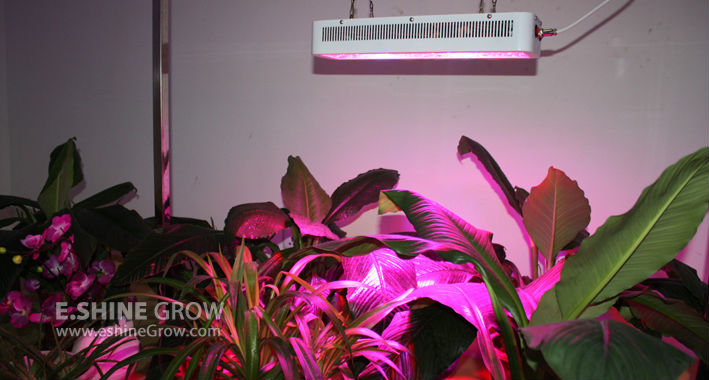 eshine 3G diamond series full spectrum 11 bands led grow light Veg/Bloom Swithces