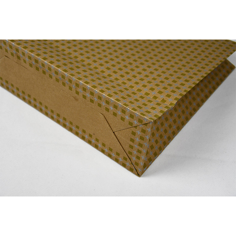 Stylish Sustainable Custom Paper Shopping Bags Lightweight Eco Friendly