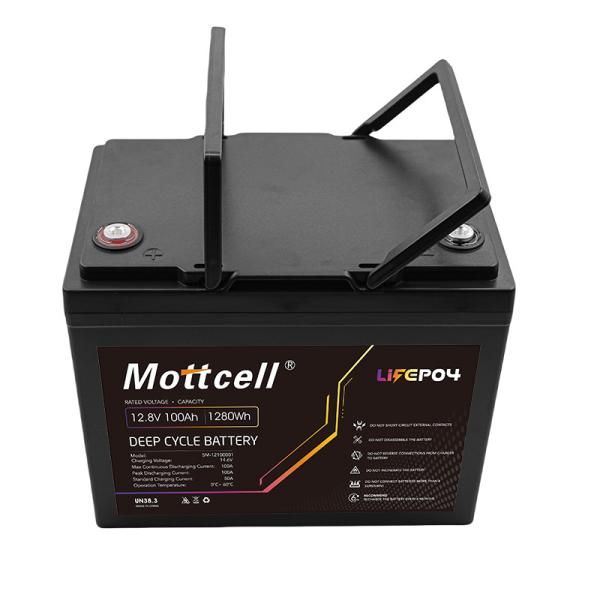 12V 100Ah LiFePO4 Battery for Solar Marine RV Camping Backup Power 6000 times