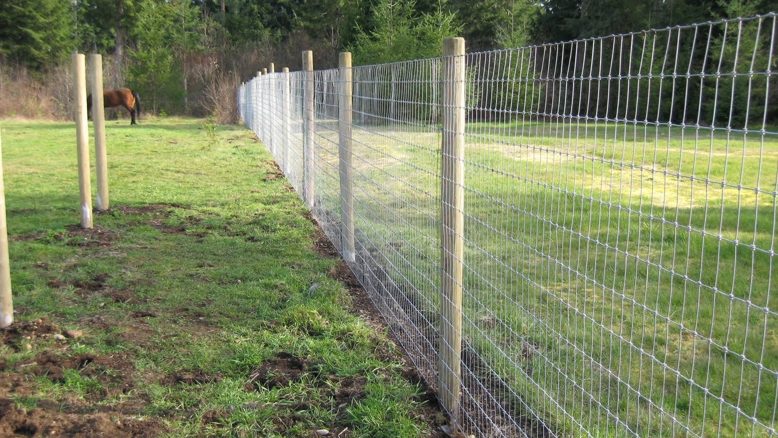 Premium Thick-Wrap Canvas Wall Art entitled Payson , field wire fence and Fence