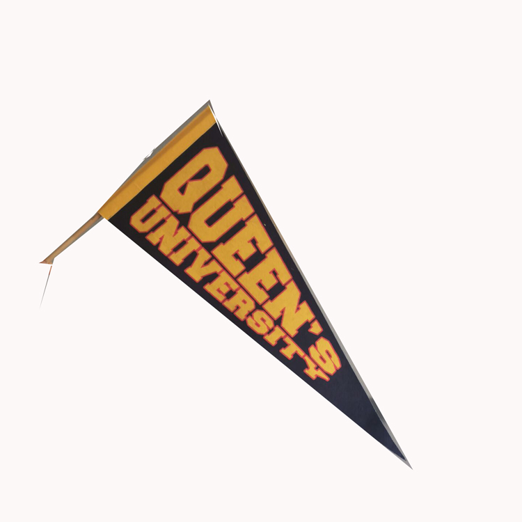 Good Price Banner Memphis Grizzlies Full Size 12" X 30" NBA Pennant