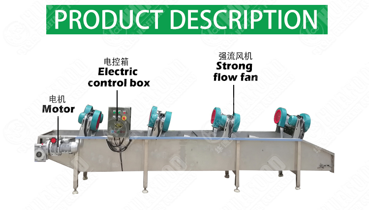 Continuous Food Drying Machine Fruit Bubble Washing Processing Line