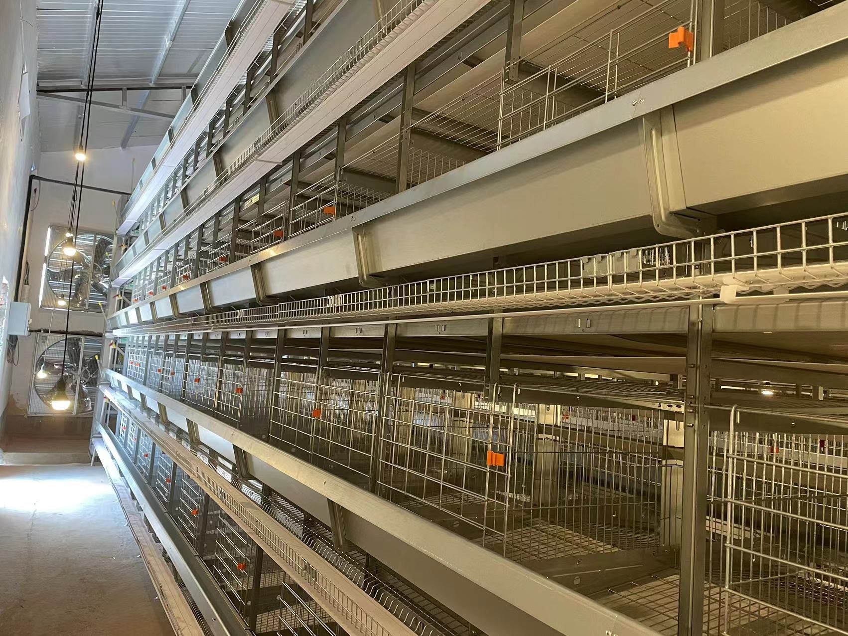 Corrosion Resistant 5 Tiers Chicken Farm Layer Hen Cages