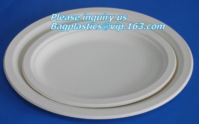 Meal Prep Containers Free Sample Bento Lunch Box Biodegradable Food Container Plastic Wheat Straw Lunch Box bagplastics
