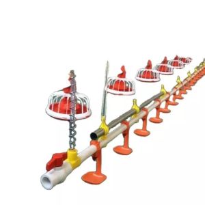 China Galvanized Pipe Automatic Chicken Feeder System 3m Pipe length on sale