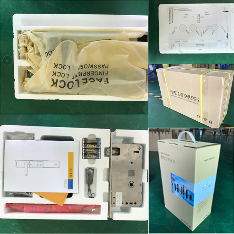 OEM ODM Push Pull Door Lock Digital Wifi Keyless Entry Door Lock