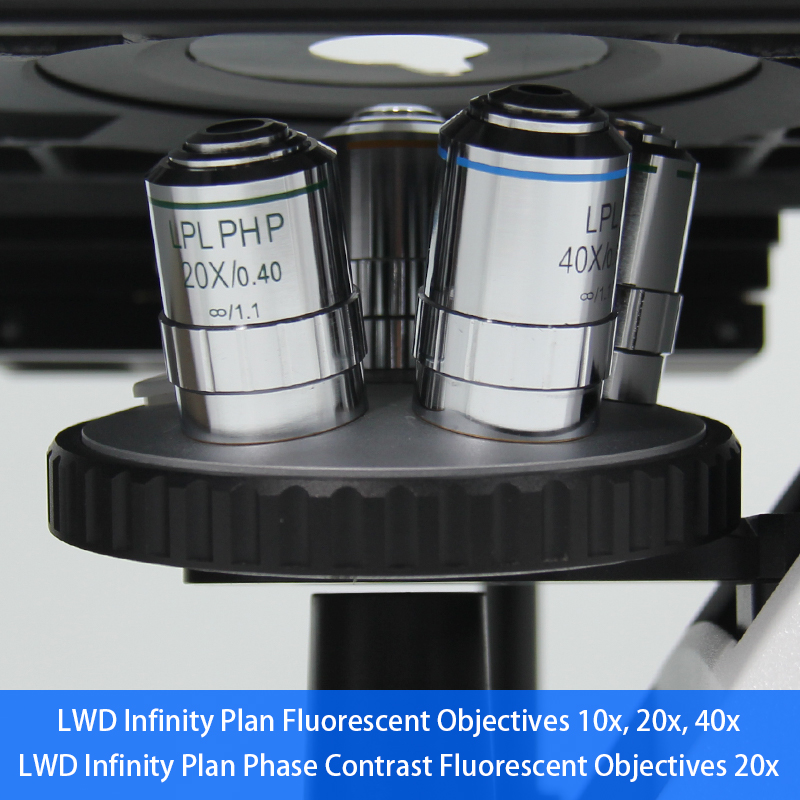Binocular Wide Field Fluorescence Microscopy A16.2614 40X - 1600X Magnification