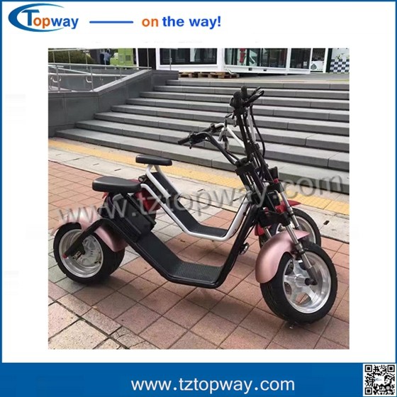Fat tyre electric scooter 60V 1000W halley two wheels citycoco