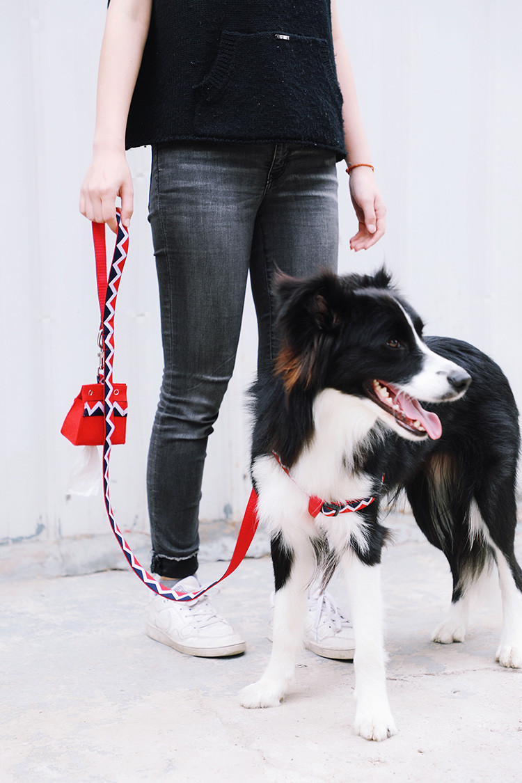Pink Red Hands Free Full Dog Poop Bag Holder Outdoor Dog Waste Bag Dispenser
