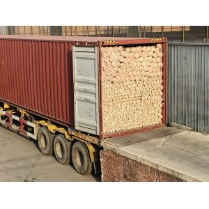 Electro Galvanized Welded Mesh Iron Netting for Newest Hot Dipped Galvanized