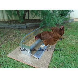 OEM 51x21cm Rust Proof 16.4L Auto Chook Feeder