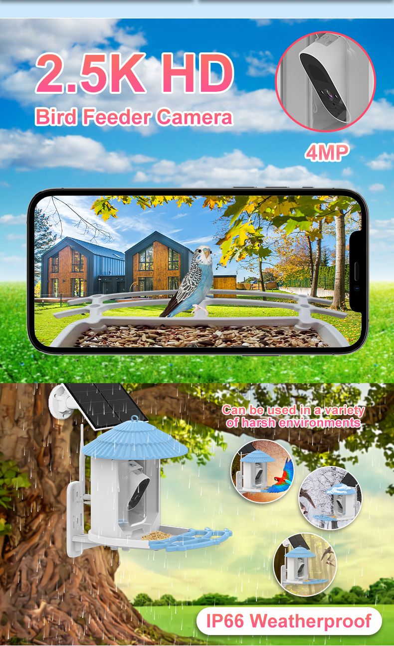 IP66 Waterproof 4MP Smart Bird Feeder 2.5L Wildlife Smart Bird Camera