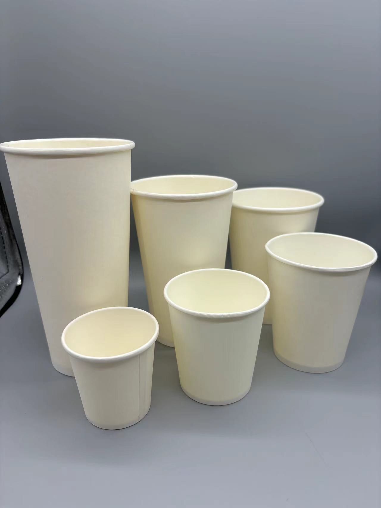 Disposable Biodegradable Hot And Cold Drinks Paper Cups With Custom Logo