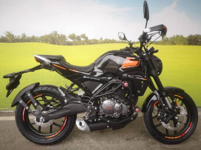 RE250 Engine Racing Dirt Bike Motorcycle 250cc Customizable Color