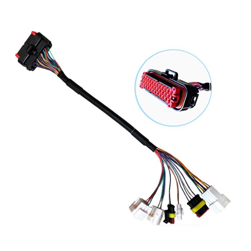 Extension Adapt Harness Female to Male Plugs Customized Wiring Harness Assembly Solutions