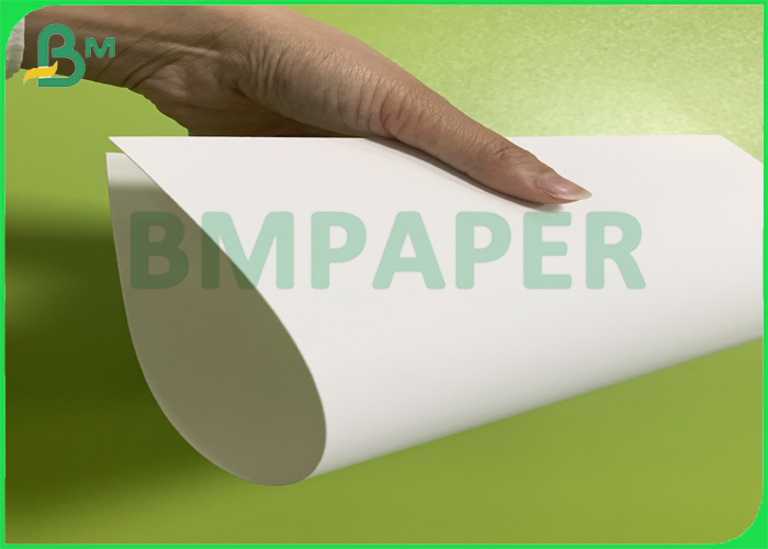 One Side Coated Food Grade Board