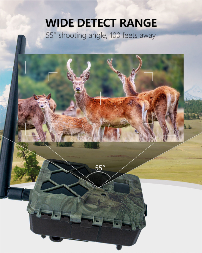 Monitor Wildlife 4G wireless Trail Camera APP Remote Remote low price 18650 battery long working time