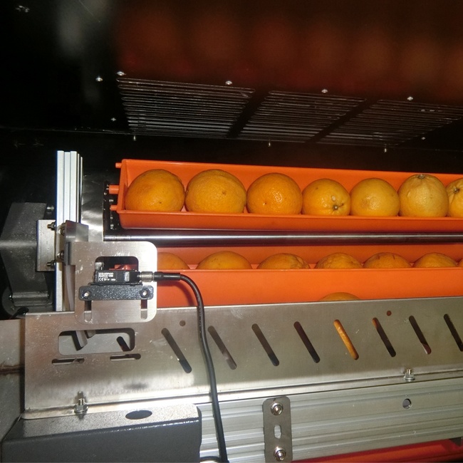 Fresh Orange Juice Vending Machine Smart Extractor Customized Color