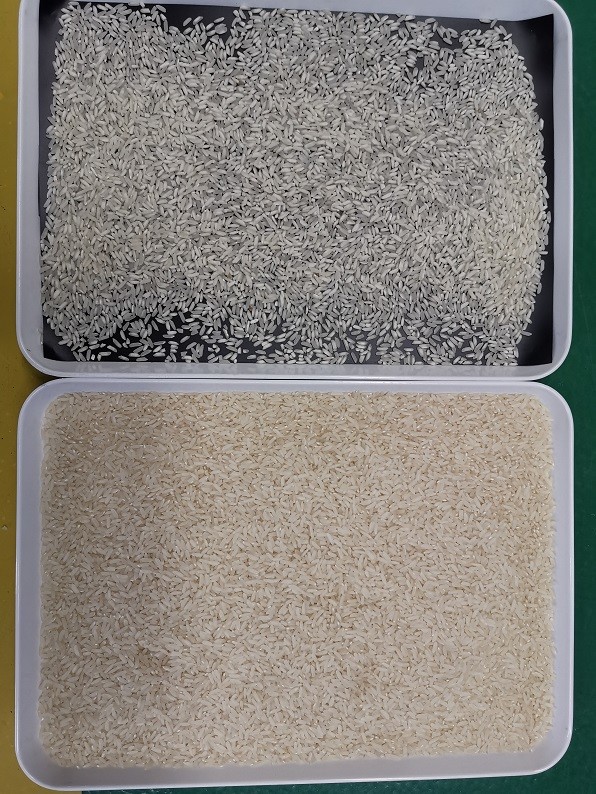 Sorghum Myotonin Brown Rice Color Sorter