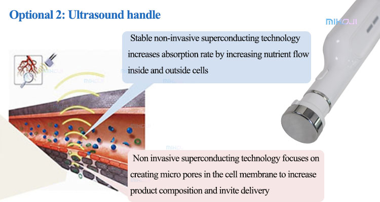 2 Handles Plasma Skin Tightening Machine For Neus Wrinkles And Pigment