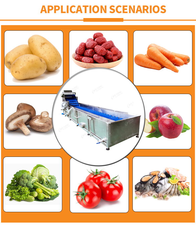 Leafy Vegetables And Fruits Cleaning Lettuce Washer Potatoes Washing Machine