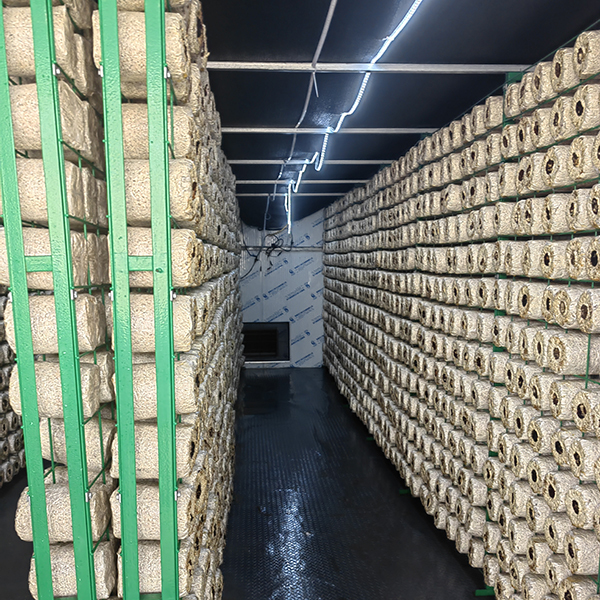 Quality Mushroom Growing Multi Layer Greenhouse Insulation Board Mushroom Growing Kit for sale