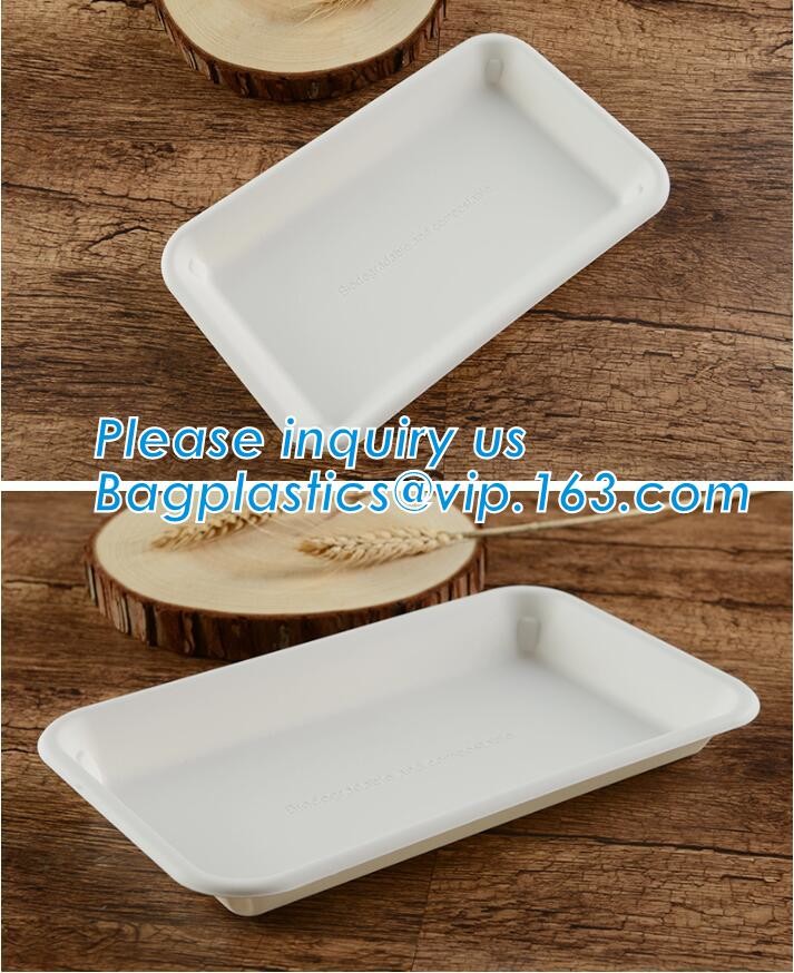 Meal Prep Containers Free Sample Bento Lunch Box Biodegradable Food Container Plastic Wheat Straw Lunch Box bagplastics