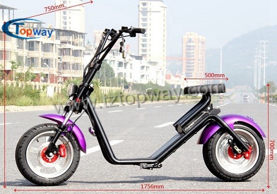 2018 New Style Two Wheel Off Road Electric Mobility Halley Scooter
