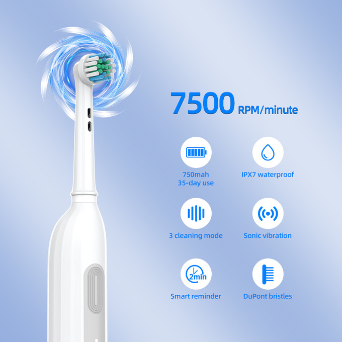 3 Modes 360 Degree Rotating Toothbrush Oral Care Type C Charging Electric Spin Toothbrush