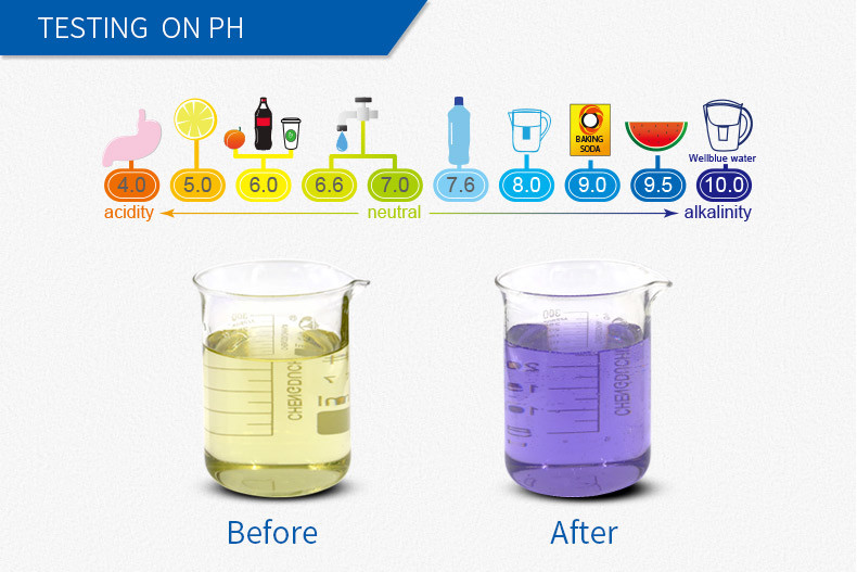 Professional Antioxidant Alkaline Water Pitcher , Active Carbon Mineral Water Purifier
