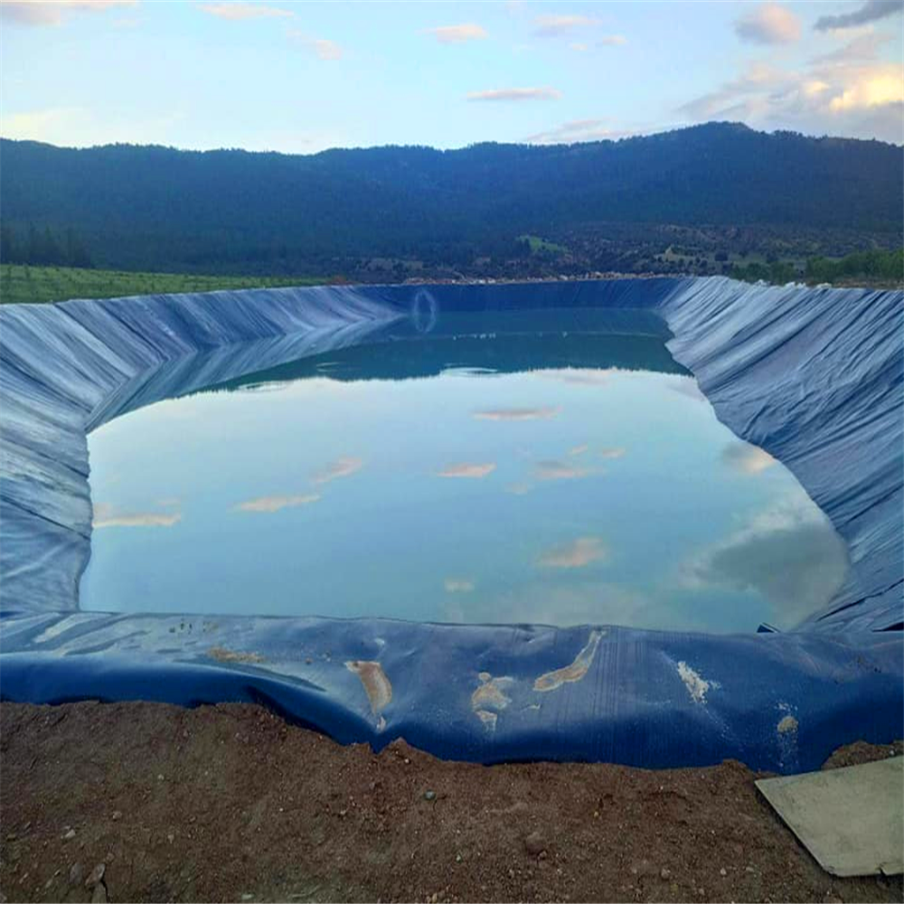 Contemporary 0.7mm 0.5mm 1mm Geomembranas Fish Farm Pond Liner Hdpe Geomembrane Sheet