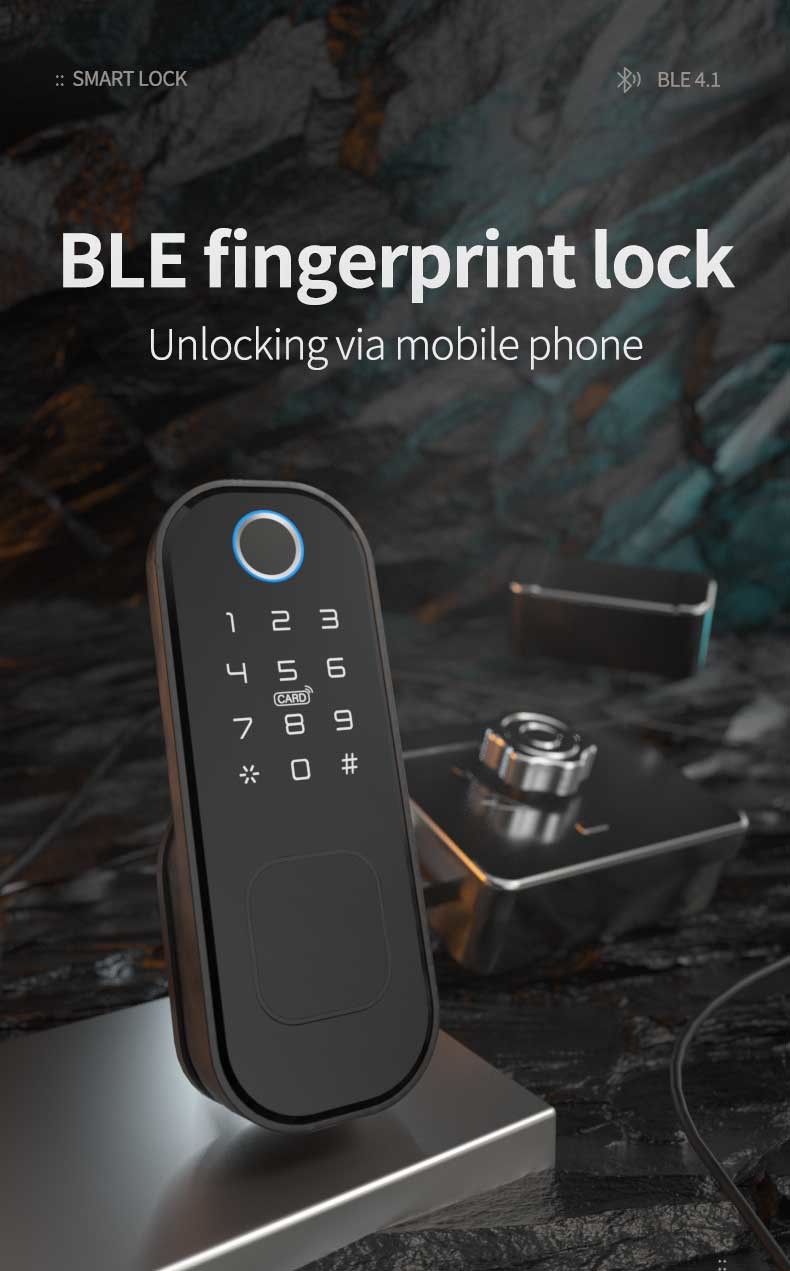 Waterproof Smart Electric Rim Lock with Tuya Smart Life APP WIFI Outdoor Gate Door Fingerprint Lock