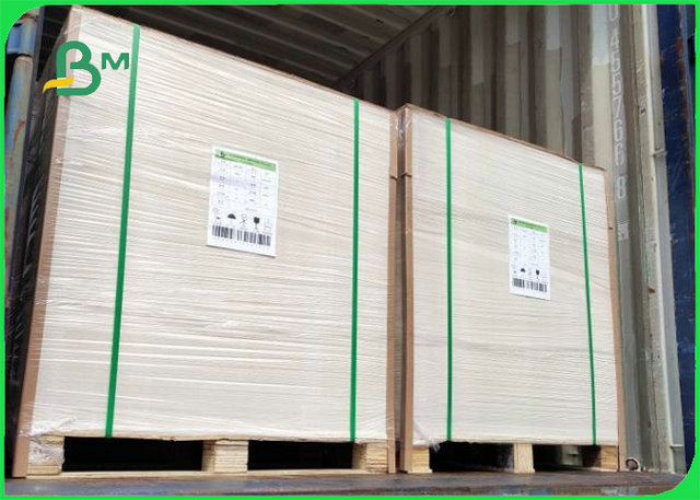 180gsm 220gsm Color Bristol Paper For Stationery Excellent Smoothness 60 * 90cm