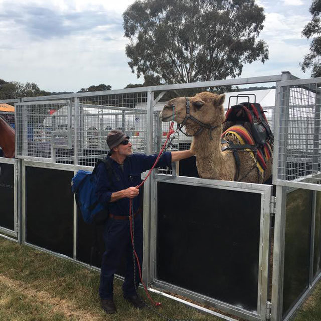 Used Stable Equipment Portable Horse Stable Temporary Horse Stable