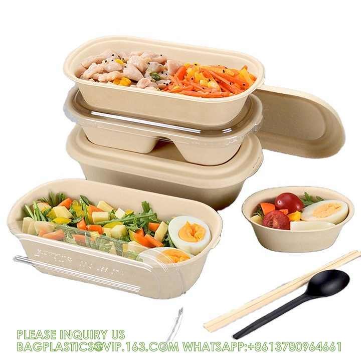 Wholesale Sugarcane Bagasse Pulp Lunch Box Takeaway Food Container Diaposiable Recyclable Sugarcane Packaging Box